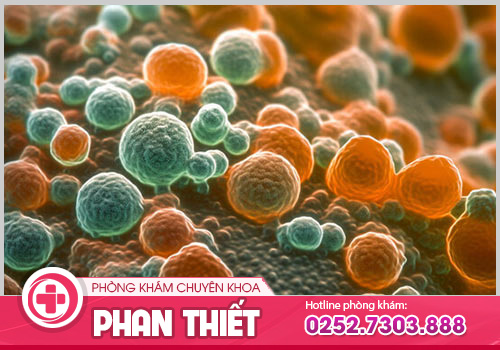 Dấu hiệu nhận biết bị nhiễm nấm Candida âm đạo là gì?