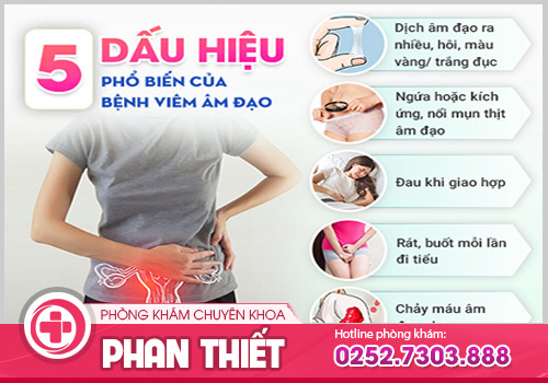Tìm hiểu tổng quan về bệnh viêm âm đạo
