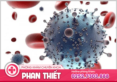 Viêm tiết niệu ở nữ: Dấu hiệu và Nguyên nhân gây bệnh